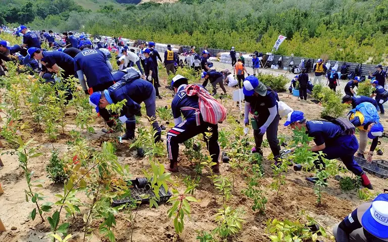 MORINOプロジェクト